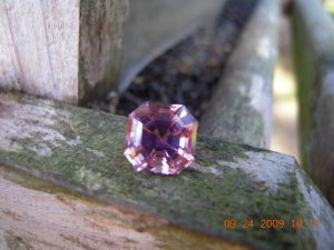 xps pictures 018.jpg