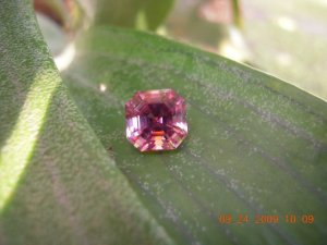 xps pictures 017.jpg