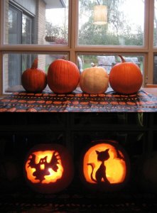 HavensPumpkins!.jpg