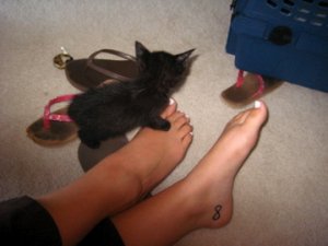 IMG_2478.jpg