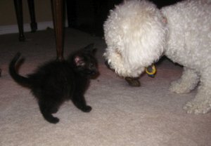 IMG_2363_2.jpg