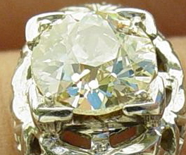 OEC pic2.jpg