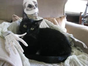 halloweenmorton.jpg