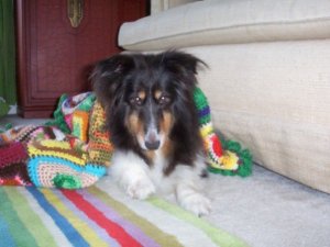 Gypsy - old apt 2005.jpg