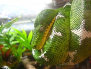 IMG_4251_2.jpg