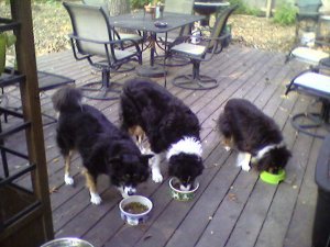 TheBreakfastLineupSML.jpg