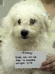 Finley.jpg