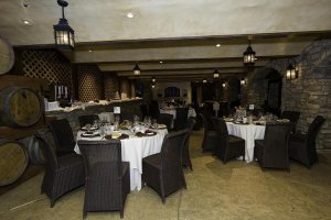 1view of reception room.JPG