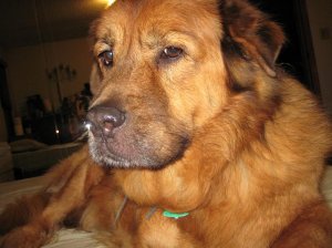wally1.JPG