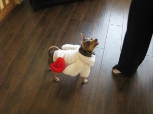 bigdeezee103108.jpg