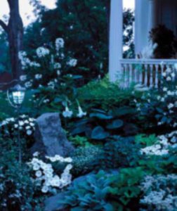 flower-garden_300.jpg