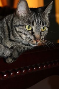 IMG_8451.jpg