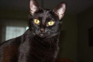 IMG_8446.jpg