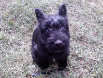 lulu82359187059185.jpg