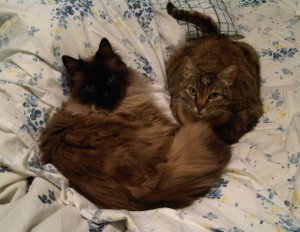 Oliver and Maggie.jpg