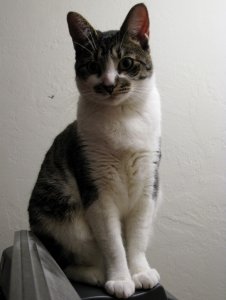 PSCAT99099-3.jpg