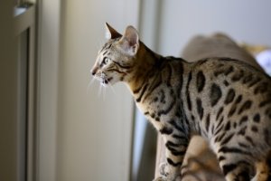 IMG_09991.jpg