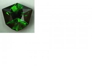 Lisa Elser Chrome Tourmaline.jpg