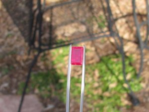 IMG_1943.JPG