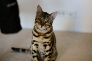 IMG_09671.jpg