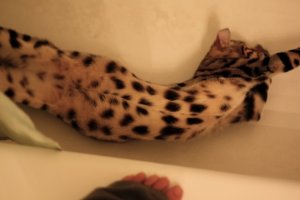 IMG_09171.jpg