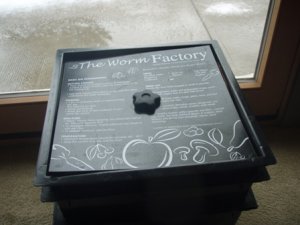 1st lid 01.JPG