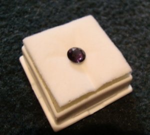 cc481.JPG