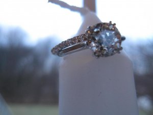 IMG_5417.1.jpg