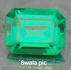p1_swala_tsav_pic.jpg