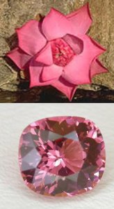 lotus vs spinel copy.jpg