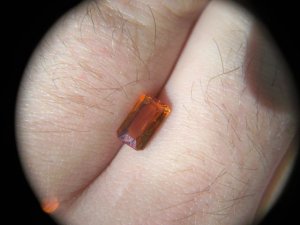 spessfingers.jpg
