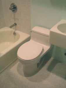 toilet_after.jpg