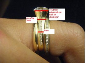 sholdtdtmeasurements.JPG