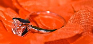IMG_1279v2.jpg