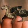 GYPSYDRAGONAV101.jpg