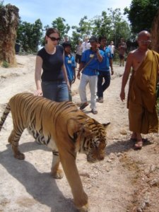 justchillinandwalkinmyTIGER.jpg
