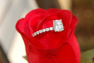 glitterandsparkles096.JPG