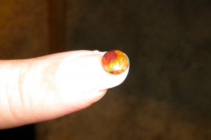 2010-03-20 opal.JPG