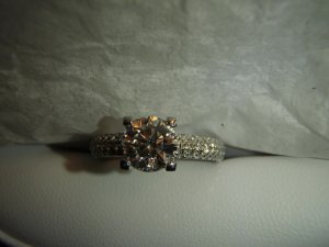 1topview1.jpg