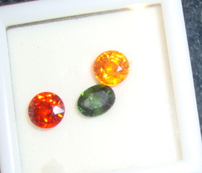 spessdiops555.JPG