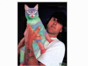 jmtcat3.jpg