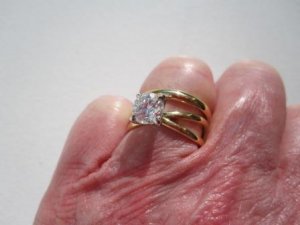 split shank with band 1.JPG