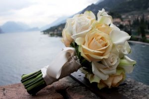 P16flowers.jpg