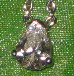 IMG0521.jpg
