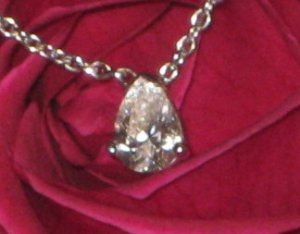 IMG0527.jpg