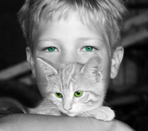 farm_cat_B&W with color.jpg