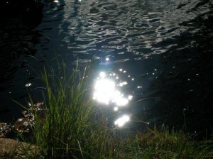 DSCN9327sm.jpg