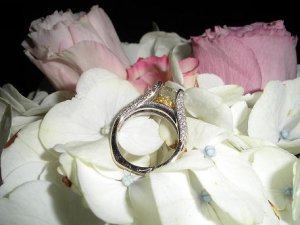 ring321.JPG