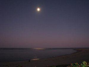 Moonlight over Chatham MA 10-11-2008_4797.jpg