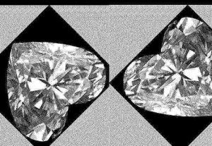 heartds on angle.jpg
